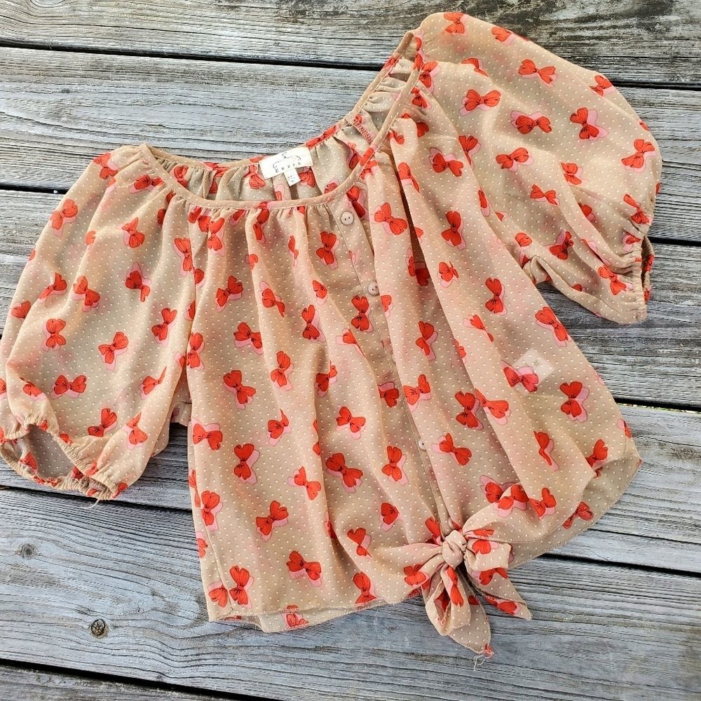 Sheer bubble sleeves blouse